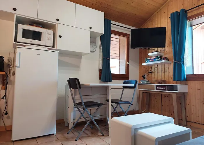 Apartamento Chamonix: 2 Pieces Avec Parking Proche Centre - Fr-1-517-66 *